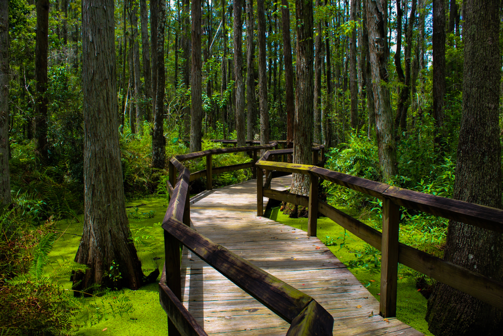 Wheels On The Road: Exploring Florida's Scenic Routes